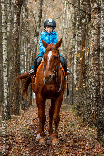 Little girl on an adult brown horse on the background of nature. Jockey, epodrome, horseback riding. © Aliaksandr Marko