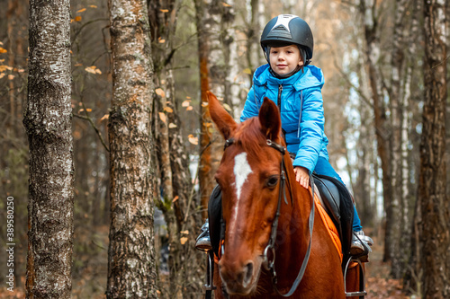 Little girl on an adult brown horse on the background of nature. Jockey, epodrome, horseback riding.