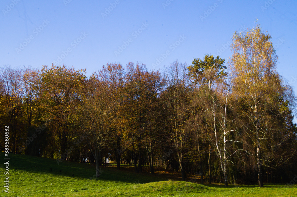 Autumn landscape with trees on a sunny day.3