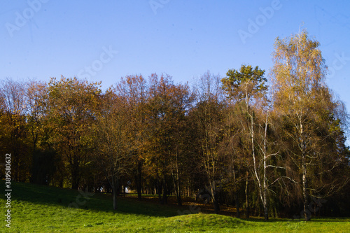 Autumn landscape with trees on a sunny day.3