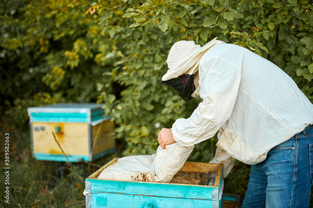 confident adult man in protective suit beekeeper working in apiary, small business concept confident adult man in protective suit beekeeper working in apiary, small business concept