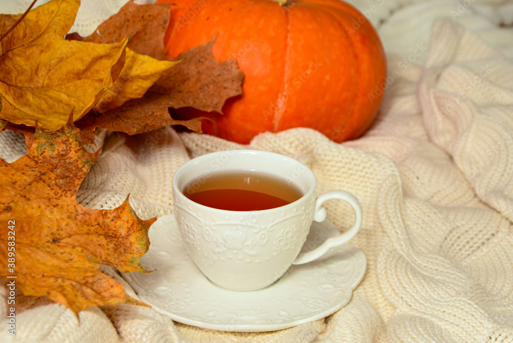 Autumn composition. Cup of tea with yellow and red leaves and pampkin on light background. Autumn card, composition, mood. Autumn composition. Cup of tea with yellow and red leaves and pampkin on light background. Autumn card, composition, mood.