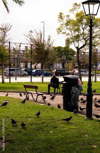 People feed the birds in a park © Javier