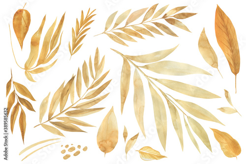 Set of yellow leaves on an isolated white background, watercolor painting, abstract autumn leaves