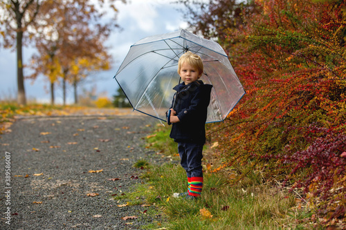 Sweet toddler blond child, cute boy, playing in autumn park with colofrul trees and bushes