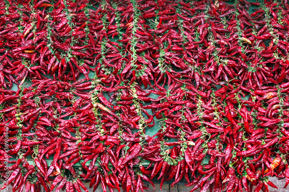 Dry Red hot chili peppers background