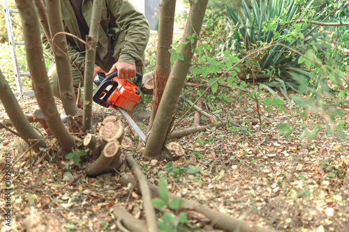 Man works in his garden sawing chainsaw trees.