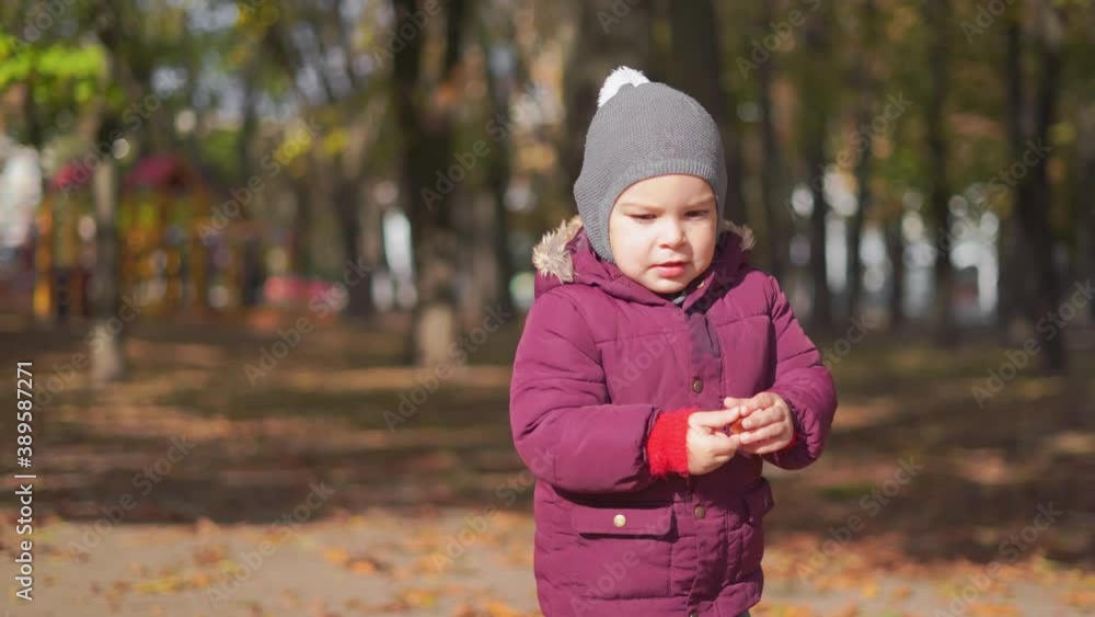 Happy toddler child plays with yellow leaves on sunny autumn day Happy toddler child plays with yellow leaves on sunny autumn day