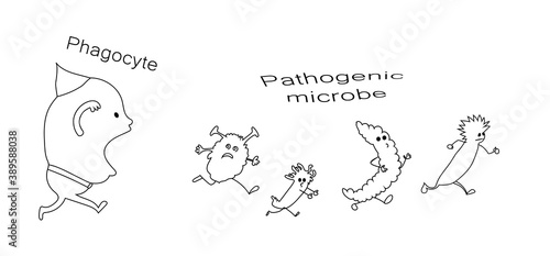 White blood cells lymphocytes. Vector sketch drawn image for kids. photo