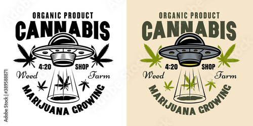 Marijuana growing vector emblem with ufo two style