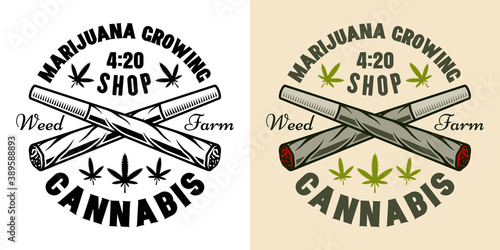 Two crossed weed joints vector marijuana emblem