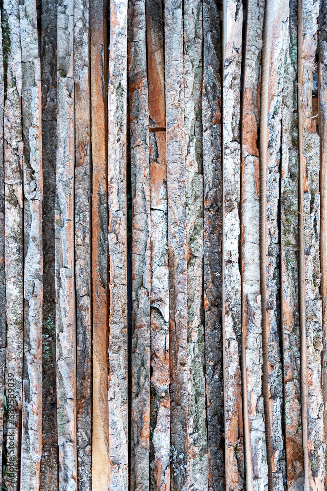 Background texture of natural wood.
