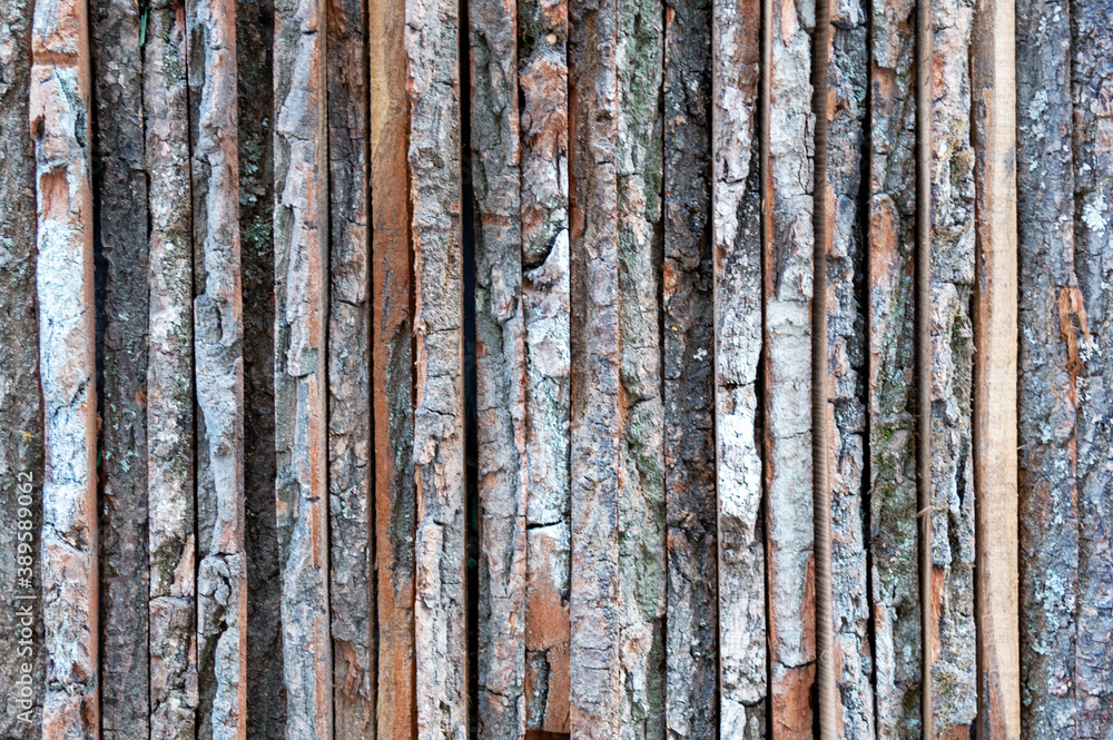 Fototapeta premium Background texture of natural wood.