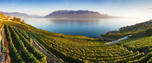 Photo Panoramic view of the city of Vevey at Lake Geneva with vineyards of famous Lavaux wine region on a beautiful sunny day with blue sky in summer or spring season, Canton of Vaud, Switzerland