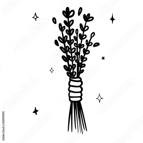 Hand drawn vector isolated dry herbs sheaf. Black outline illustration of drying herbs. Witchcraft aesthetic tools.