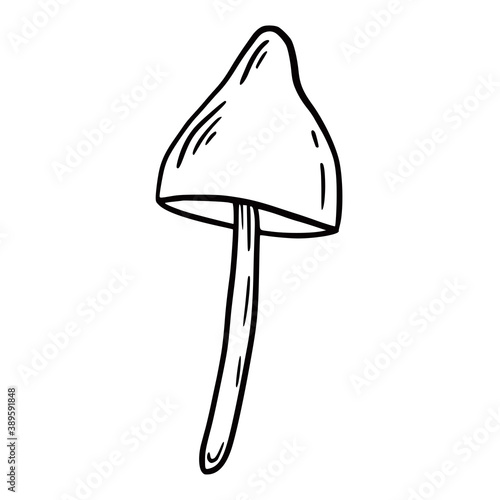 Hand drawn vector isolated poisoned mushrooms. Black outline illustration of magic mushrooms. Witchcraft aesthetic tools.