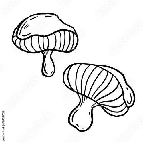 Hand drawn vector isolated  mushroom. Black outline illustration of magic mushrooms. Witchcraft aesthetic tools.