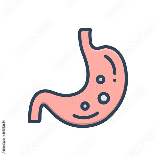 Color illustration icon for stomach