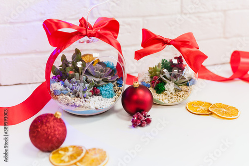 Florarium - composition of succulents, stone, sand and glass, element of interior, home decor,christmas deror, new year present