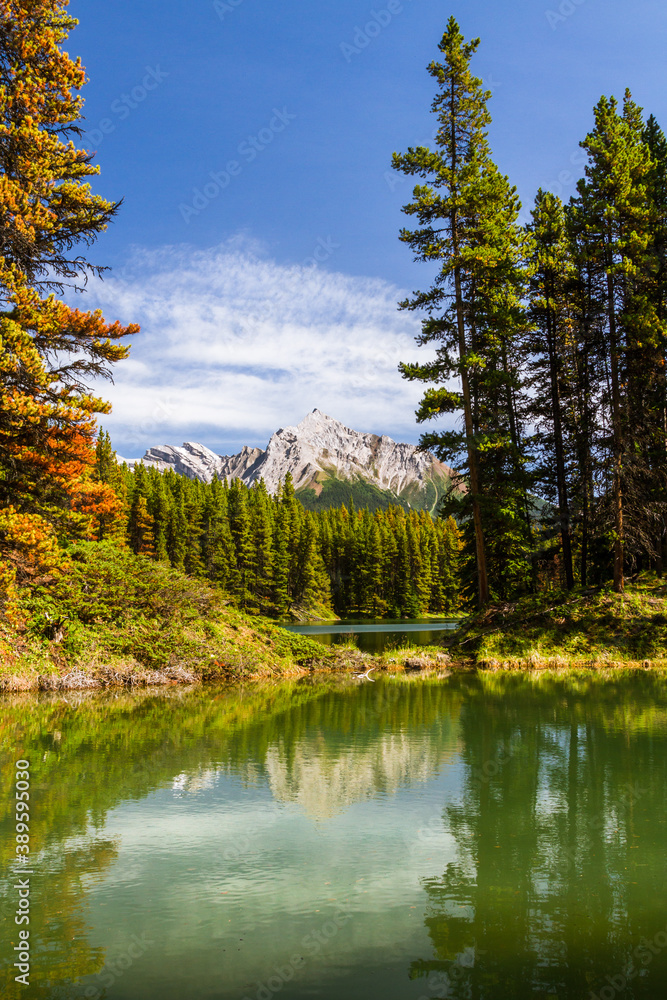 The Rocky Mountains. Beautiful Canadian Landscape. The view of lovely Moose Lake in Jasper National Park, Alberta, Canada, North America The Rocky Mountains. Beautiful Canadian Landscape. The view of lovely Moose Lake in Jasper National Park, Alberta, Canada, North America