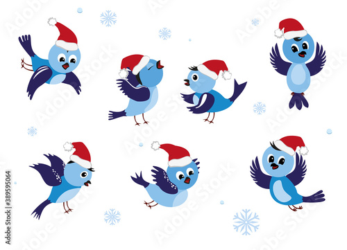 Cute birds in Christmas hat...