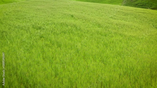 Wallpaper Mural Flying over the amazing rolling hills of Tuscany Italy Torontodigital.ca
