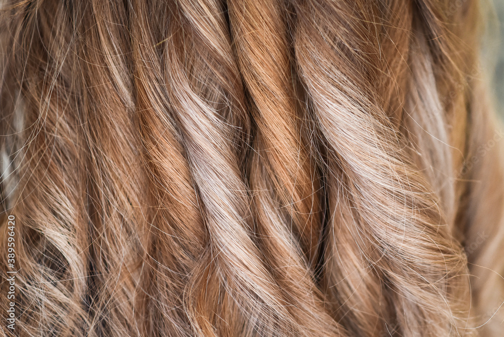 Naklejka premium hair, long, texture, curly, beauty, woman, hairstyle, brown, color, beautiful, human, red, braid, style, wave, curl, closeup, salon, shiny, haircut, cut, haircut scissors, beautyphotography, fresh hai