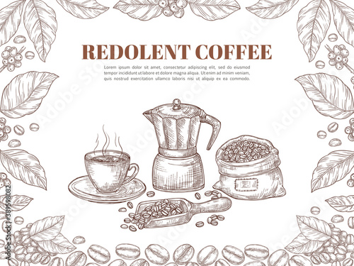 Sketch coffee banner. Bean leaf ornament, retro plants and branch poster. Hot drink cup, arabica grains plantation product vector background. Coffee redolent, caffeine hot cup beverage illustration