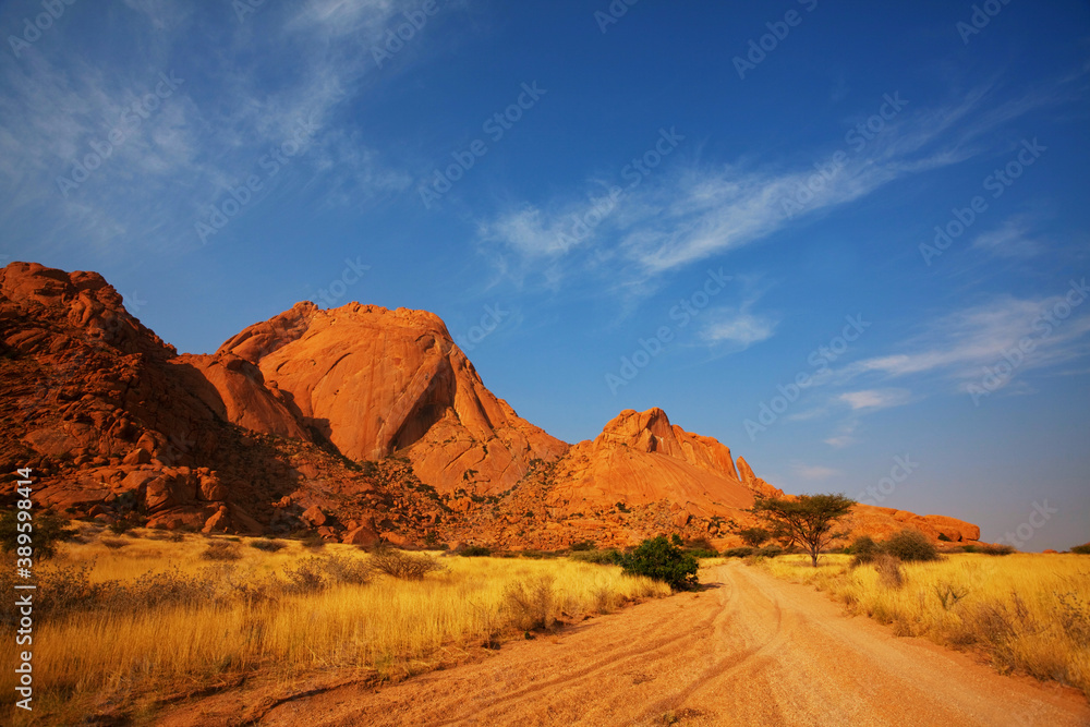 Naklejka premium Road in Namibia