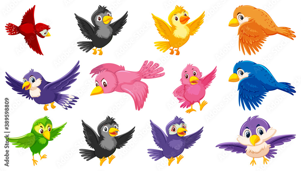 Set of bird cartoon character Set of bird cartoon character