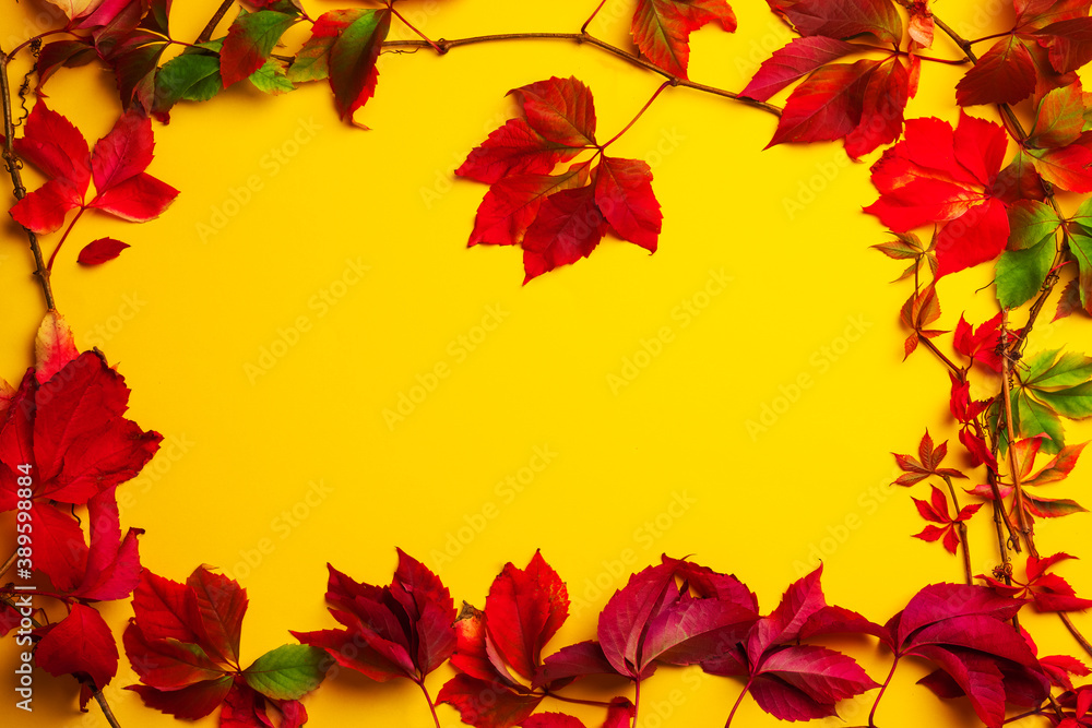 Autumn seasonal leaves with border frame and space for text, fall background Autumn seasonal leaves with border frame and space for text, fall background