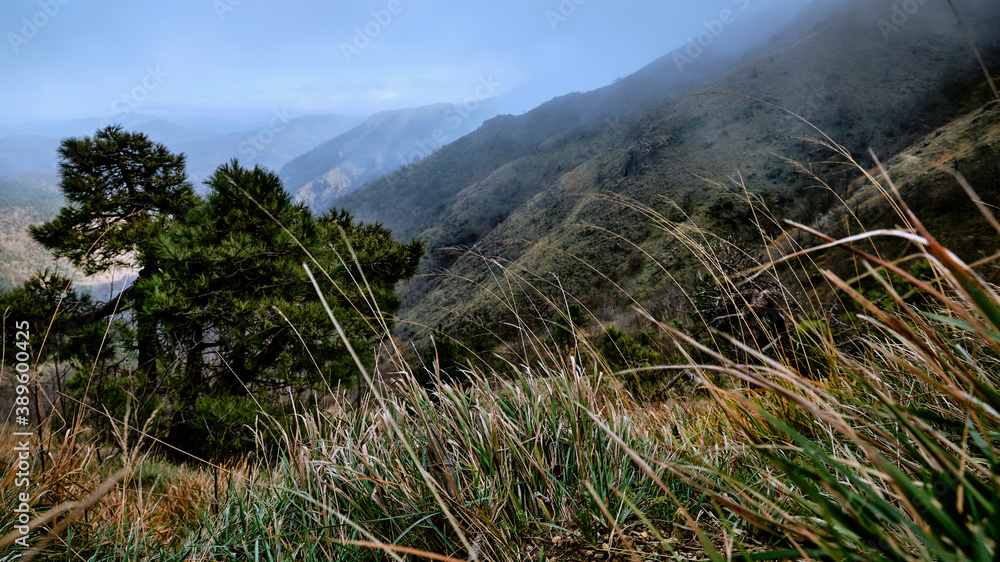Foto scattata lungo la passeggiata che da Bosio porta al famoso Monte Tobbio. Foto scattata lungo la passeggiata che da Bosio porta al famoso Monte Tobbio.