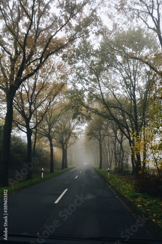 road in autumn