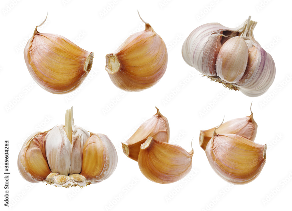 fresh garlic isolated on white background fresh garlic isolated on white background