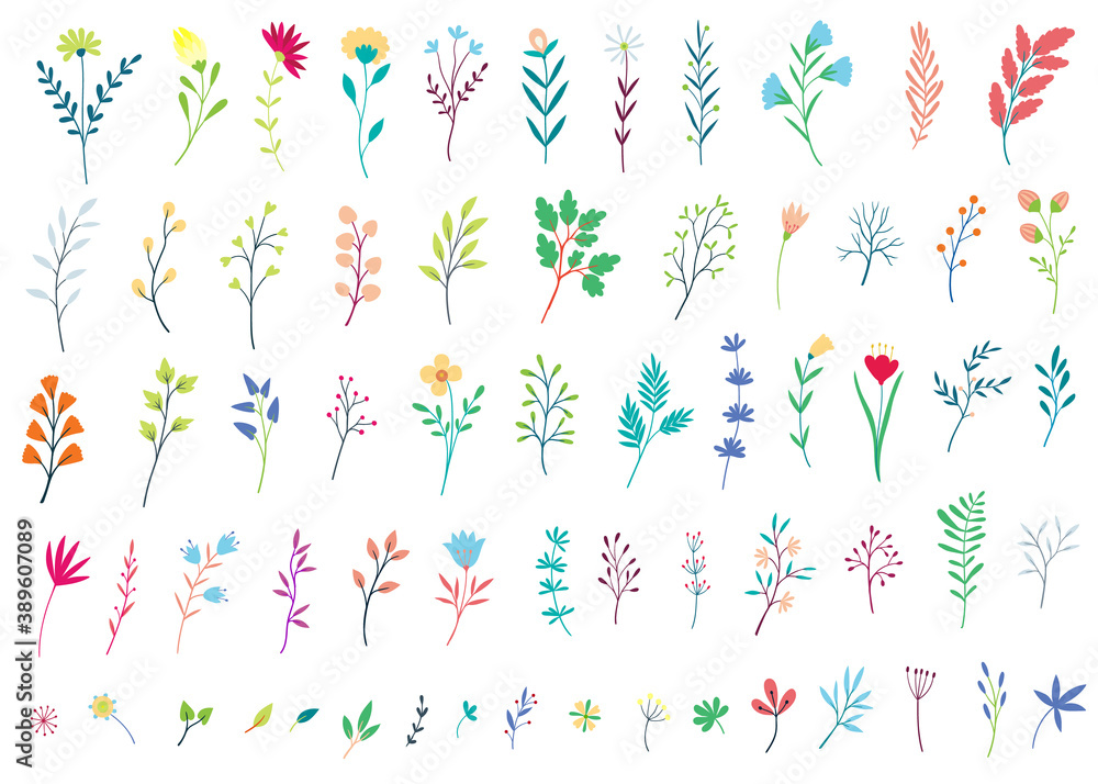 Big set of simple vector leaves, twigs and flowers,. Flat design
