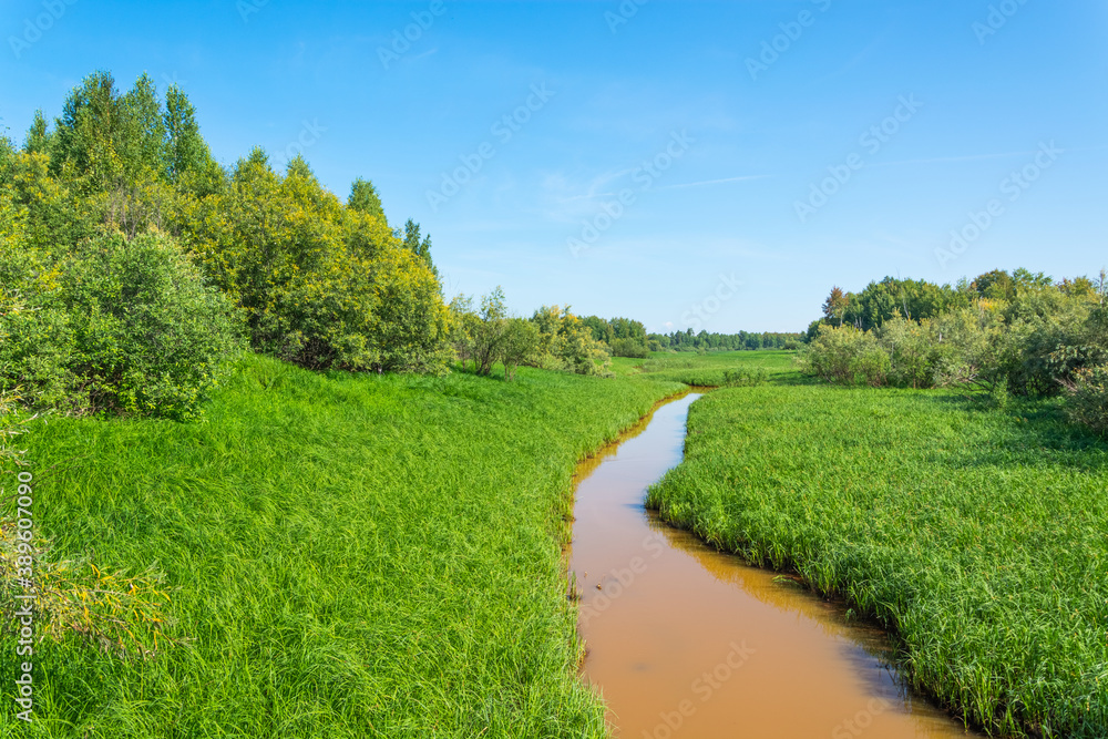 A narrow stream in dense green grass