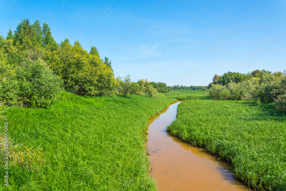 A narrow stream in dense green grass A narrow stream in dense green grass