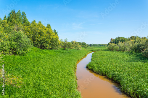 A narrow stream in dense green grass