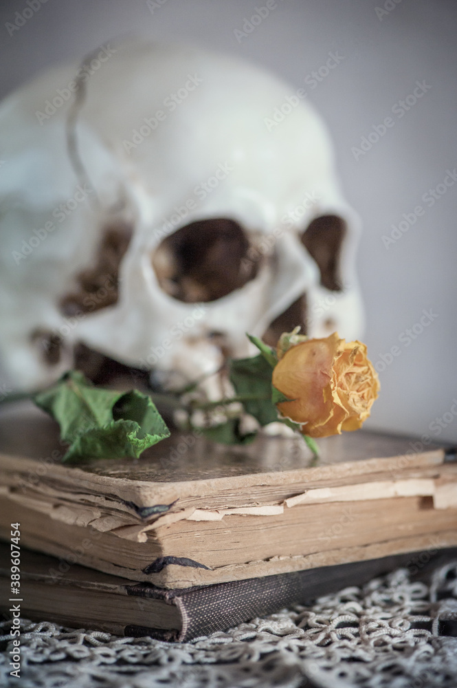 Retro Still life with dry rose and skull on old vintage book and lace Retro Still life with dry rose and skull on old vintage book and lace