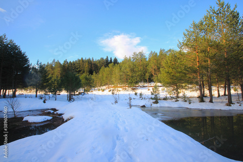 Bozcaarmut Pond - Bilecik. Untouched nature of Bozcaarmut Pond, suitable for angling photo