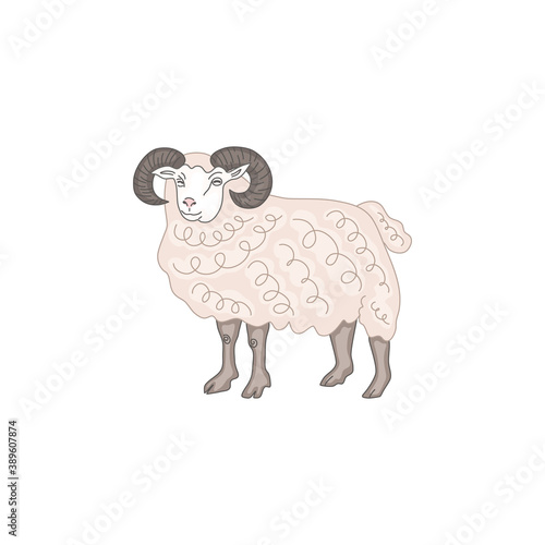 The ram stands isolate. Vector illustration.