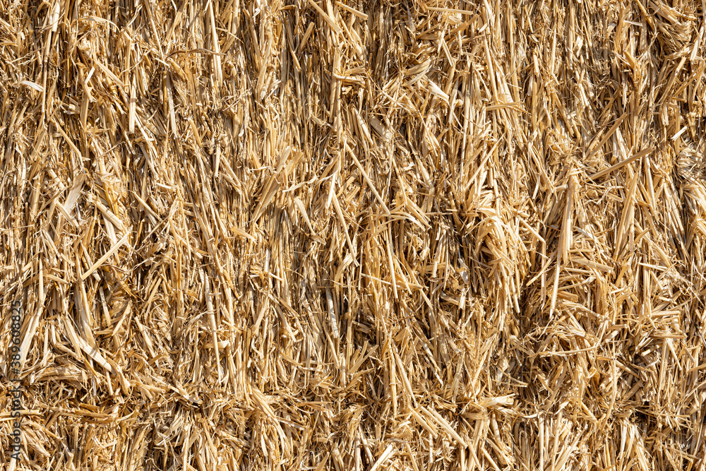 detail of bale-shaped packed straw texture detail of bale-shaped packed straw texture