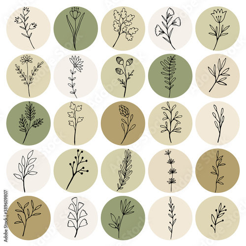 Botanical Icons for Social Media. They would be perfect for bloggers, influencers, vloggers, entrepreneurs, photographers, stylists, boutiques , make-up artists and creative souls
