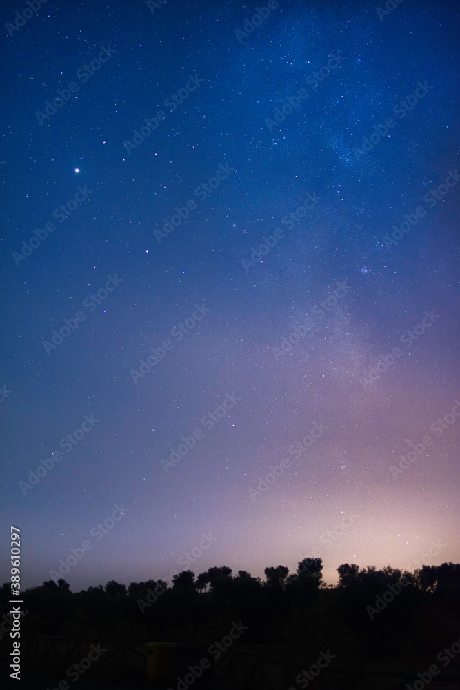 Fototapeta premium night photography of the stars and the milky way. blue starry sky with violet derivative. Landscape of black trees and vertical format