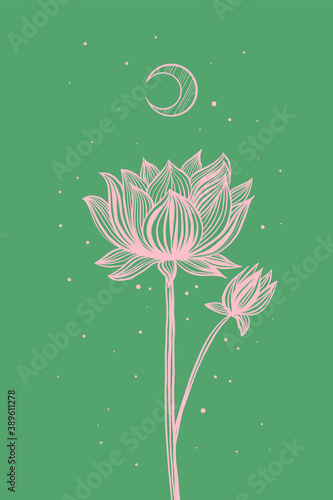 vector image of a delicate lotus or lily flower under the moon. Illustration, symbol can be used as a logo or advertising element