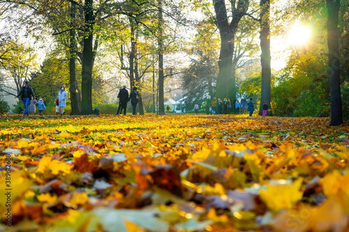 Autumn in Warsaw - People walk in Lazienki park Poland. Autumn landscape park in Warsaw