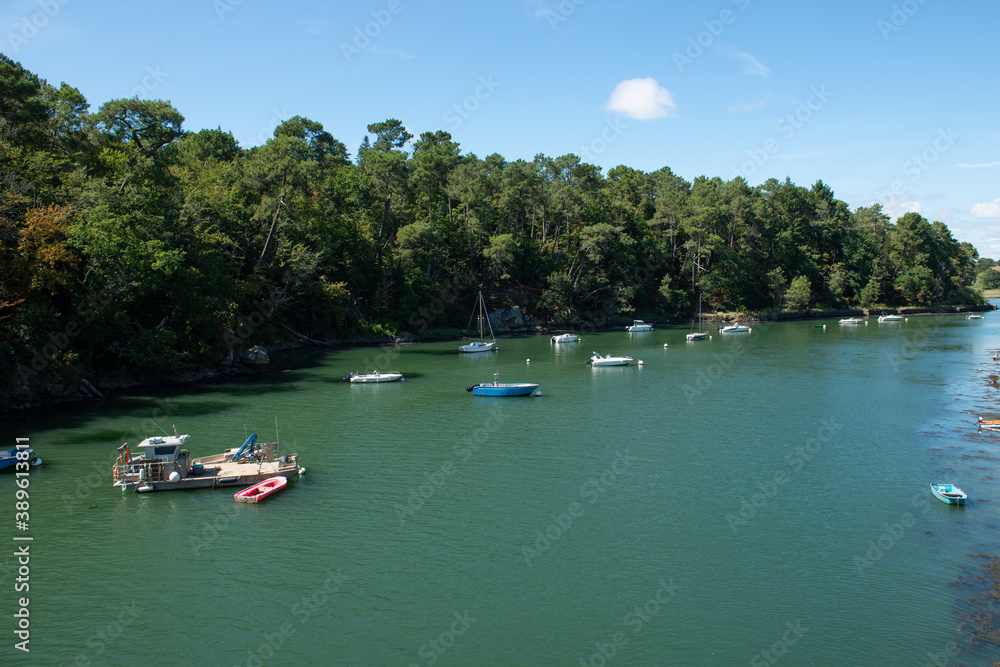 Fototapeta premium Le Bono