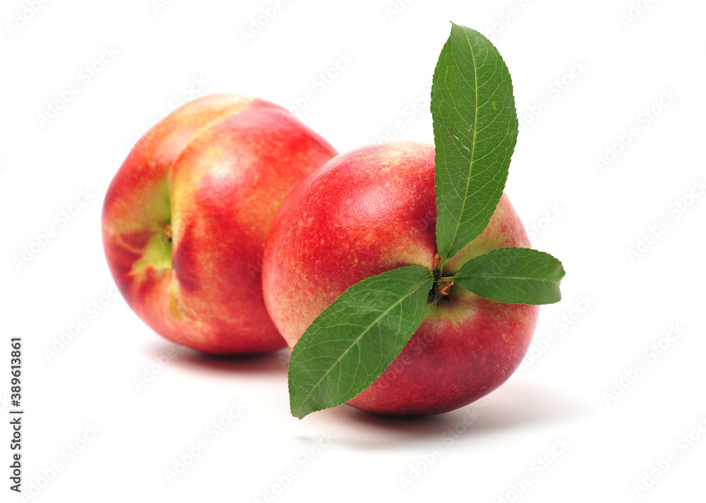 nectarine on a white background nectarine on a white background