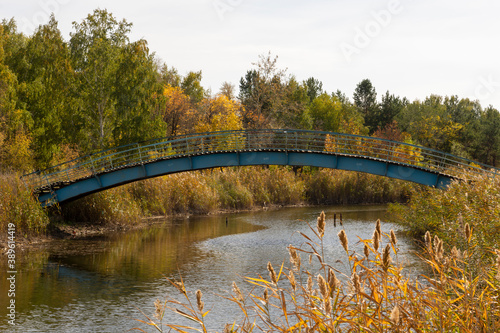 A small iron bridge over the river in the park.