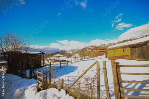 Bozcaarmut Pond - Bilecik. Untouched nature of Bozcaarmut Pond, suitable for angling photo